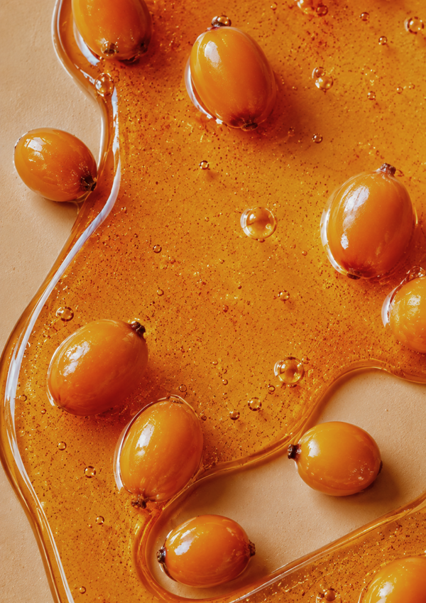 Sea Buckthorn