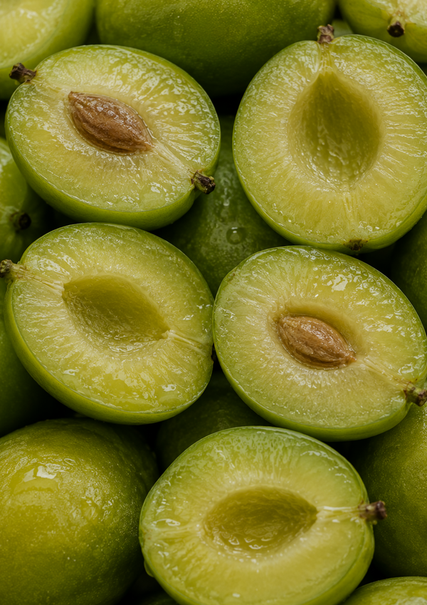 Kakadu Plum